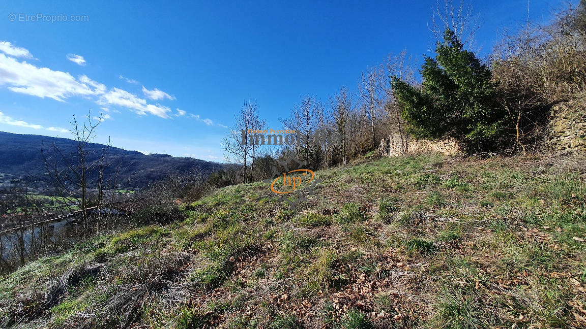 Terrain à SAINT-AFFRIQUE