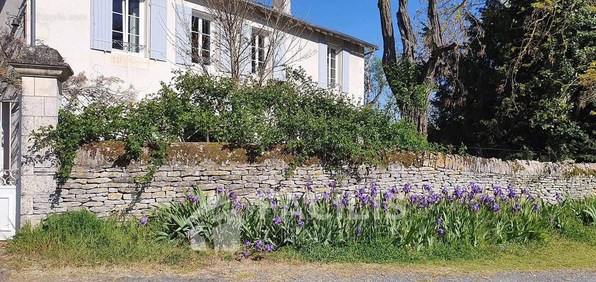 Maison à MIGNE-AUXANCES