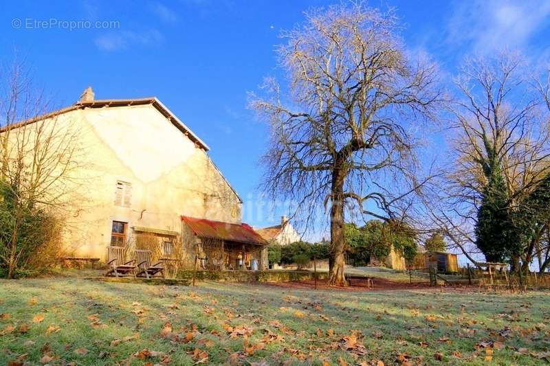 Maison à LA BARRE