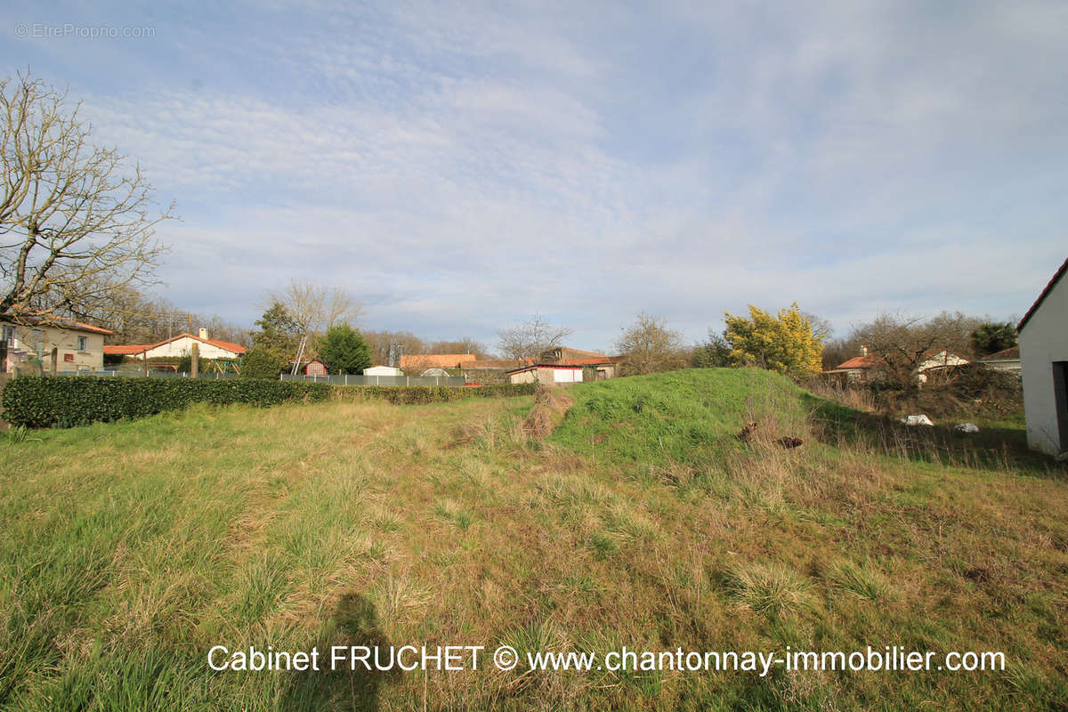 Maison à CHANTONNAY