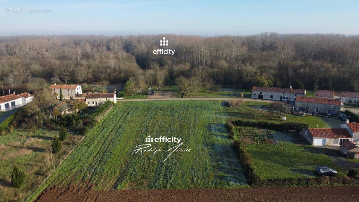 Terrain à FONTENAY-LE-COMTE