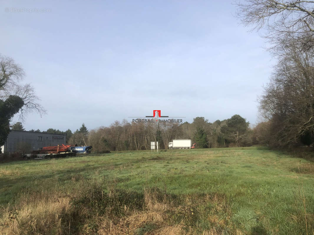 Trés bonne visibilité en bordure de D 1215 - Terrain à SAINT-LAURENT-MEDOC