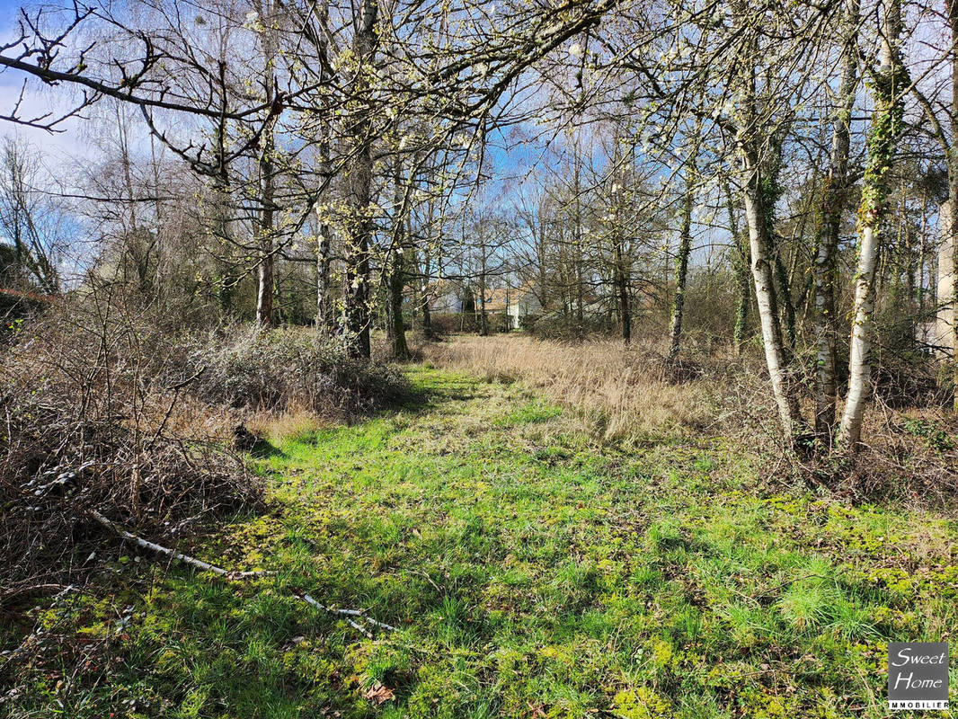 Terrain à MAGNY-LES-HAMEAUX