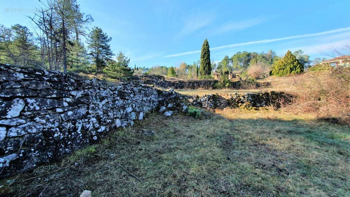 Terrain à CHAMBONAS