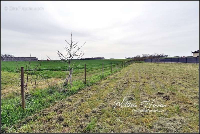 Terrain à GROSSOEUVRE