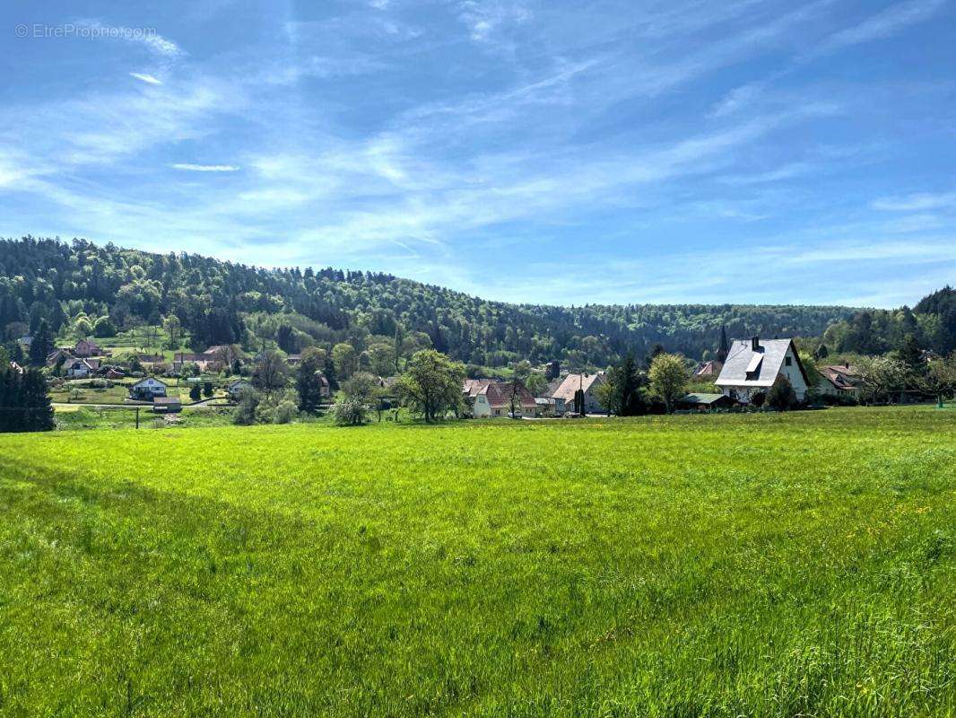 Maison à ZITTERSHEIM