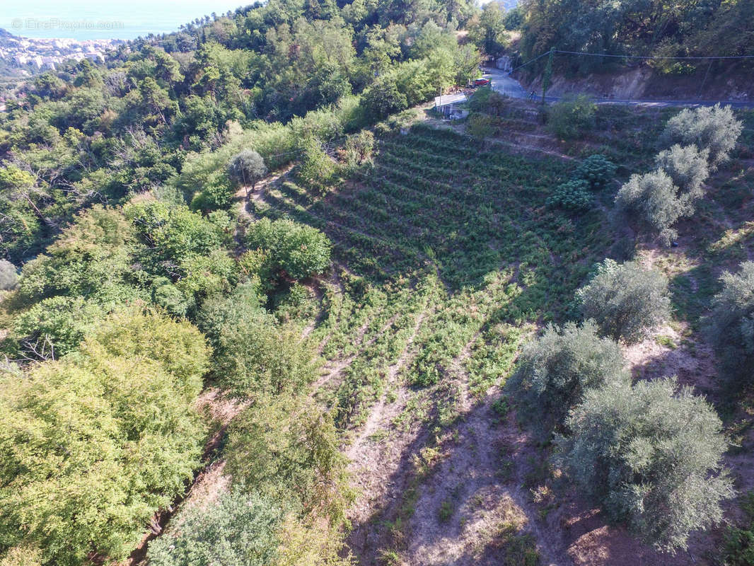 Terrain à SAINTE-AGNES