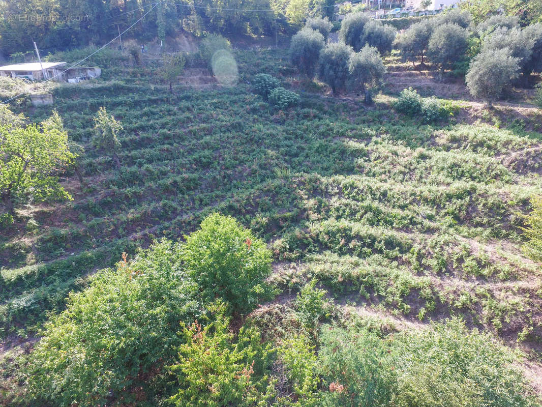 Terrain à SAINTE-AGNES