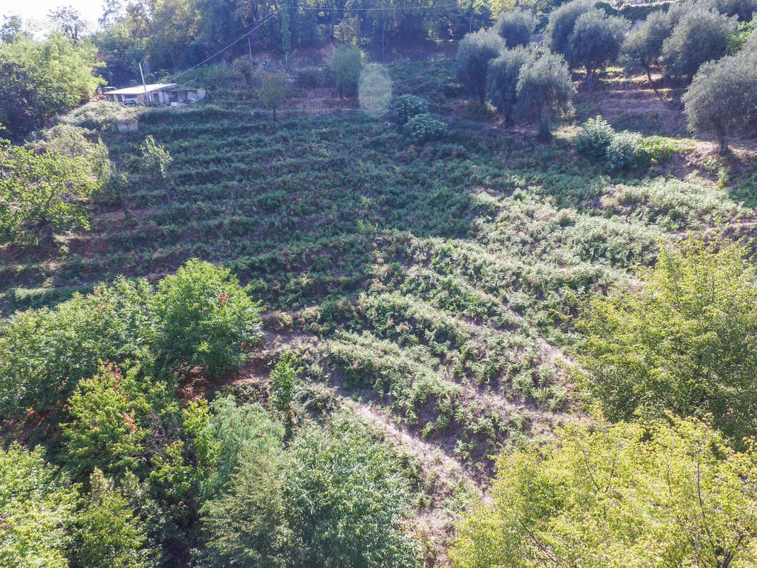 Terrain à SAINTE-AGNES