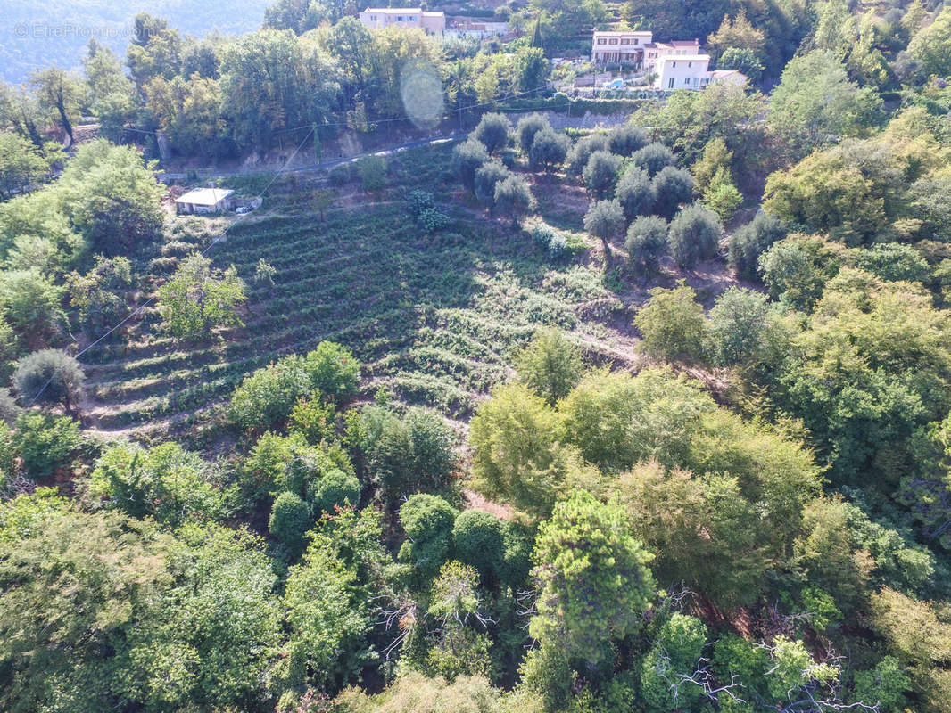 Terrain à SAINTE-AGNES