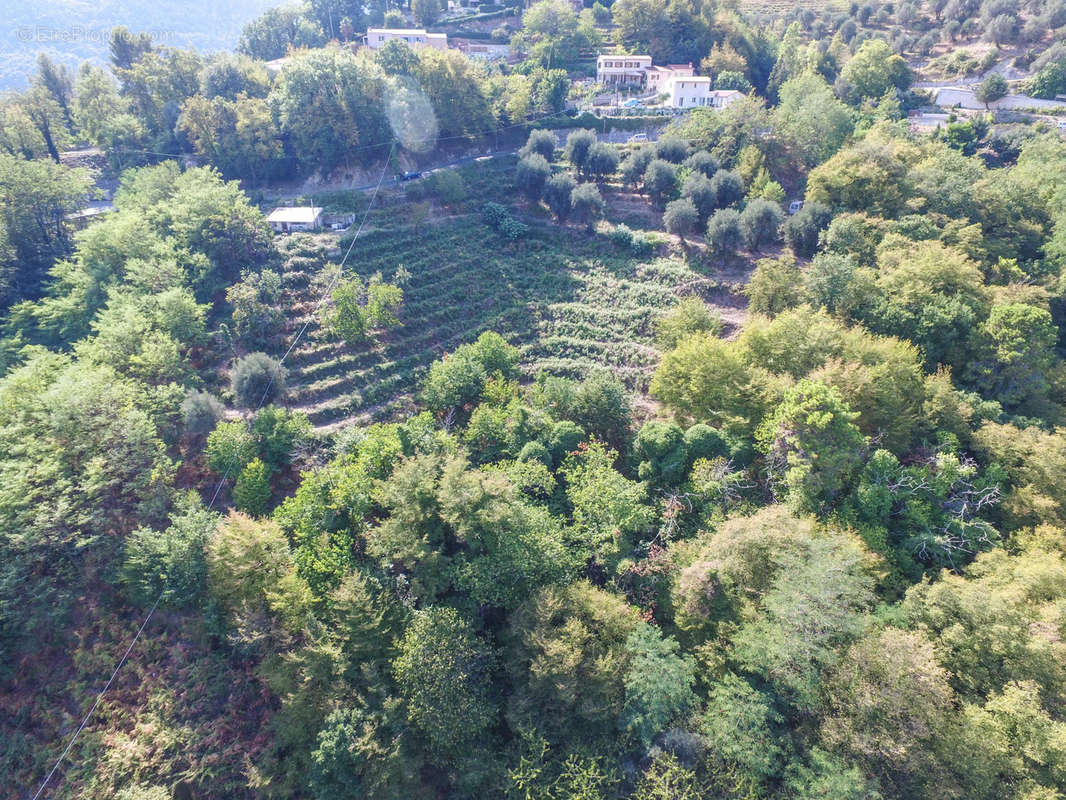 Terrain à SAINTE-AGNES