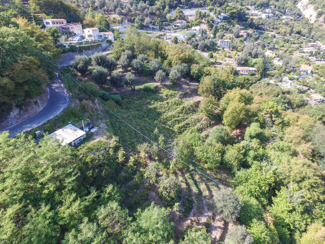 Terrain à SAINTE-AGNES