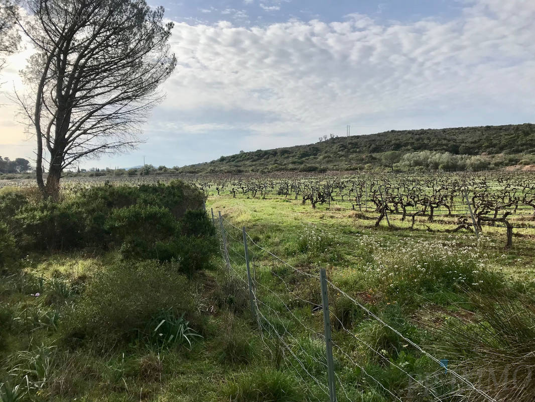 Terrain à PUGET-SUR-ARGENS