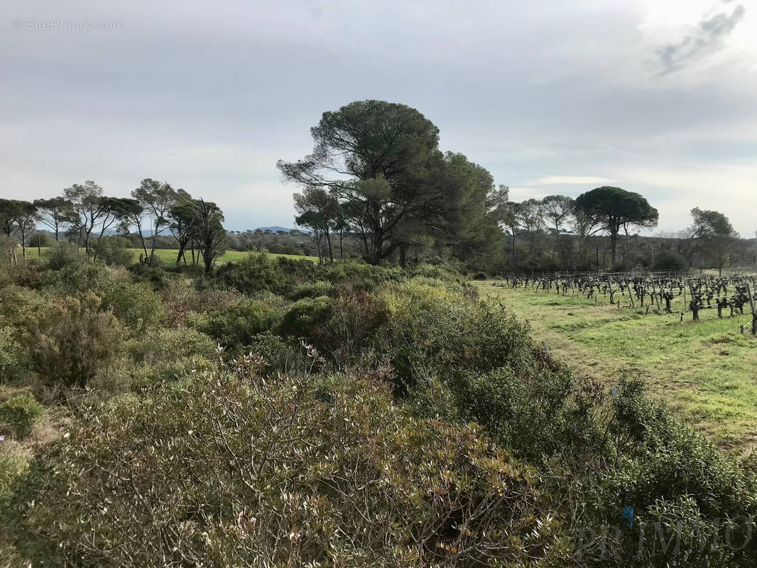 Terrain à PUGET-SUR-ARGENS