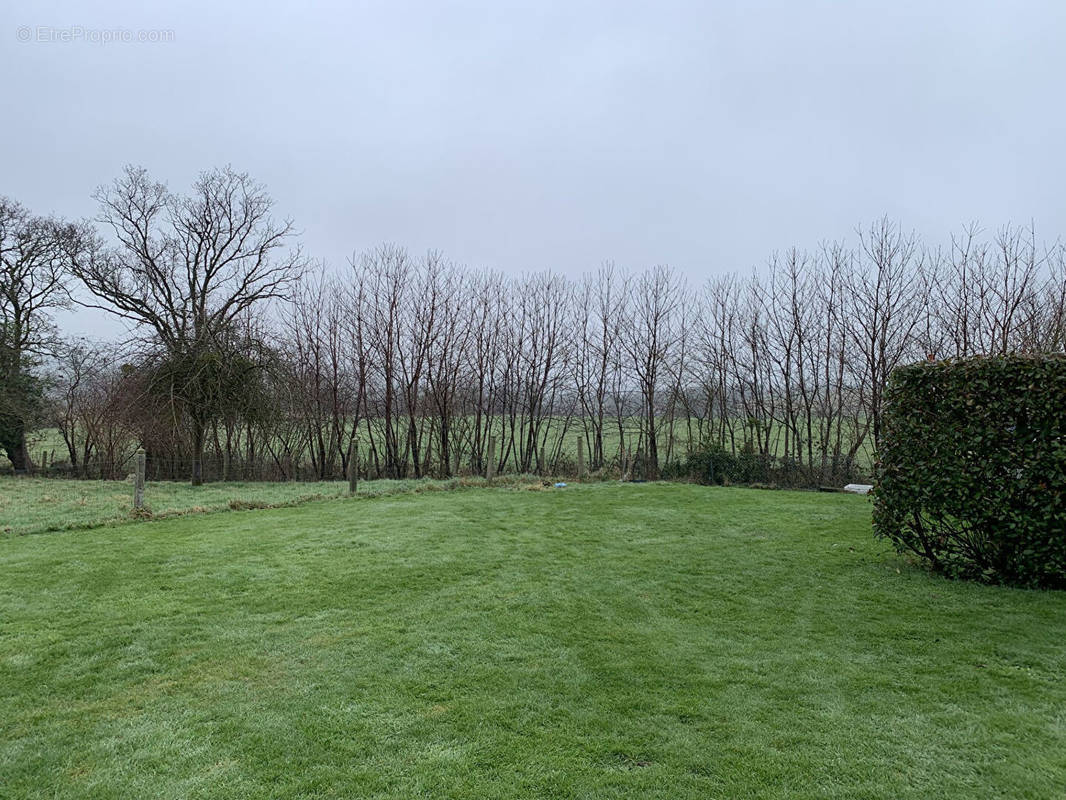 Terrain à CONDE-SUR-VIRE