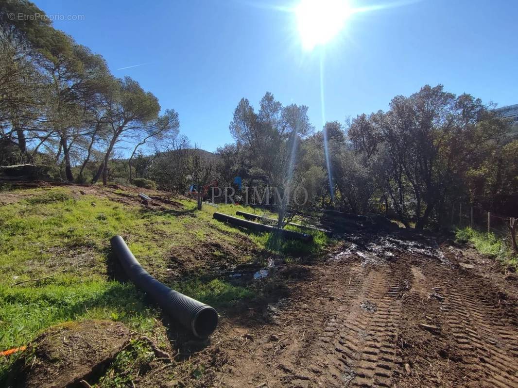 Terrain à SAINT-RAPHAEL