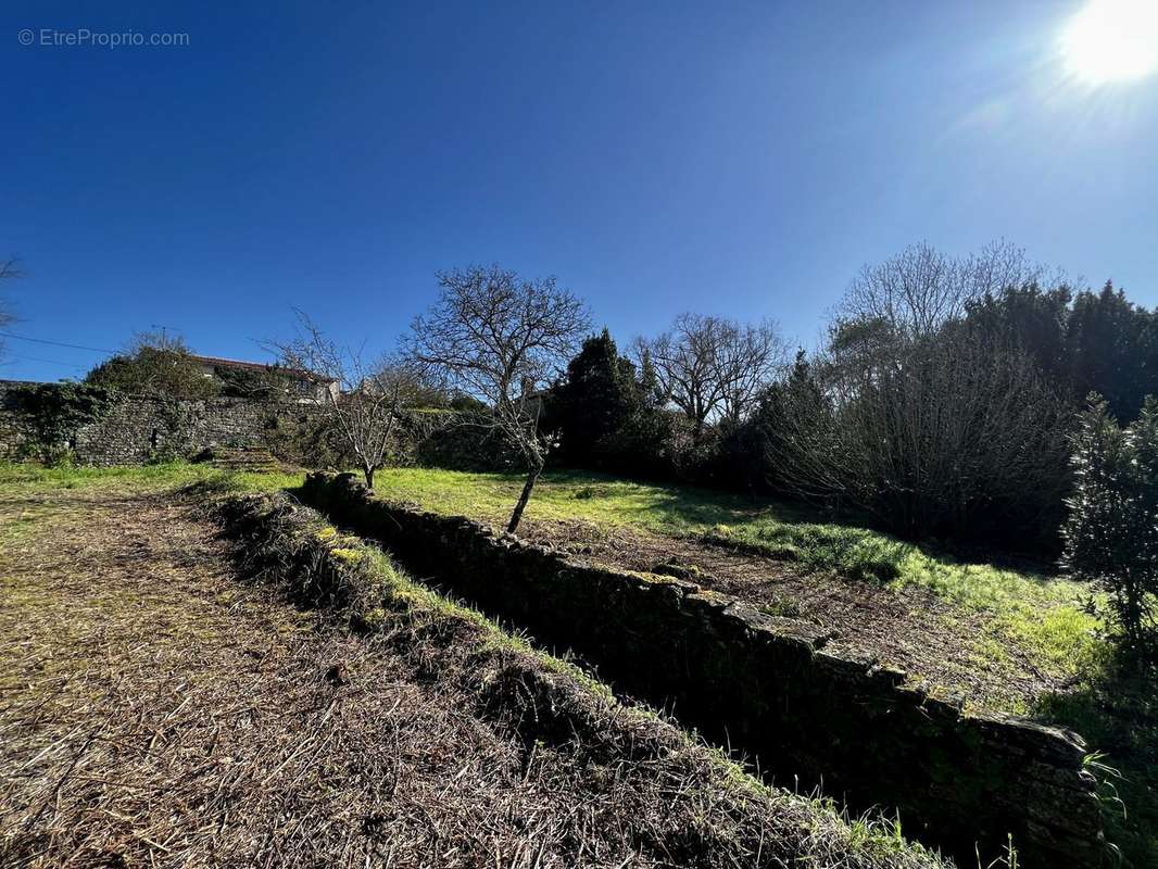 Terrain à L&#039;ORBRIE