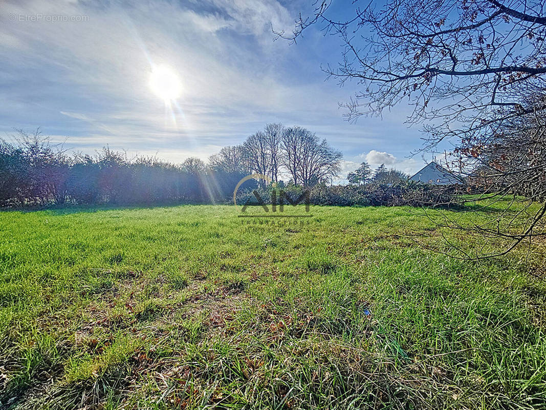 Terrain à JOUE-LES-TOURS