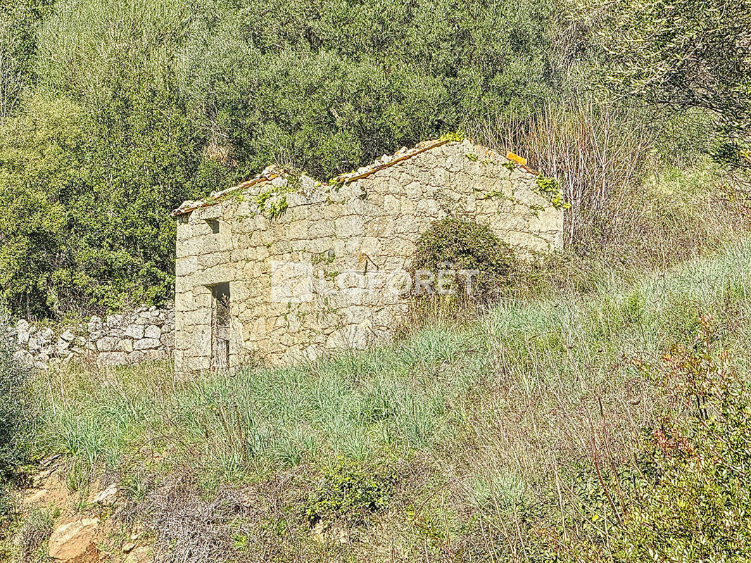 Terrain à PILA-CANALE