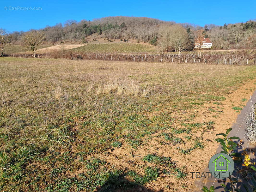 Terrain à LIMEUIL