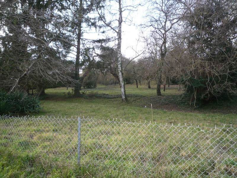 Terrain à CHATEAU-THIERRY