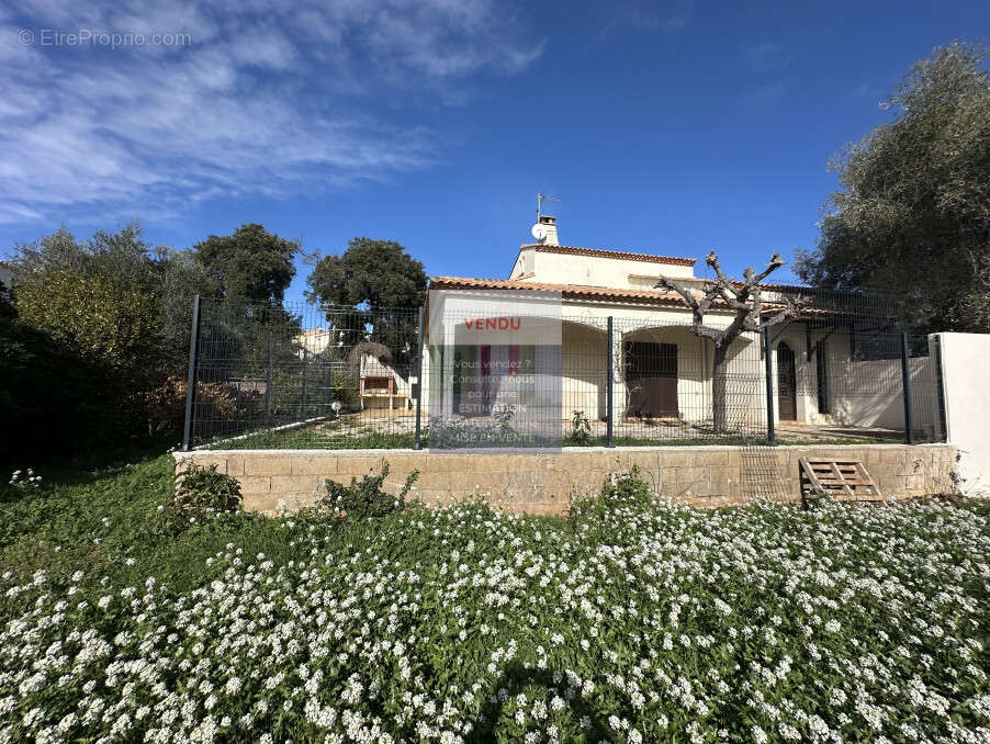 Maison à FRONTIGNAN