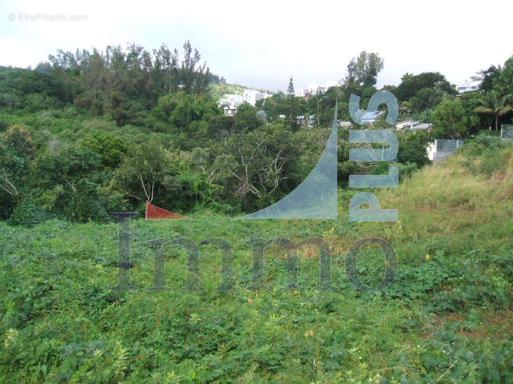 Terrain à SAINT-DENIS