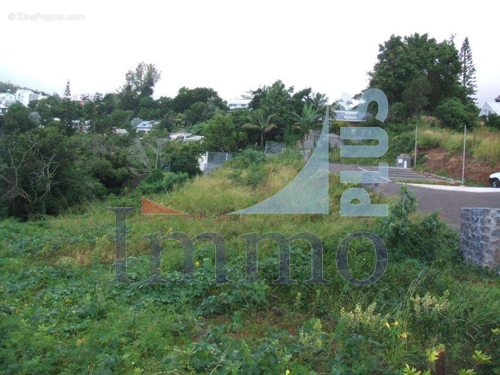 Terrain à SAINT-DENIS