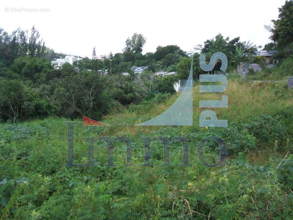 Terrain à SAINT-DENIS