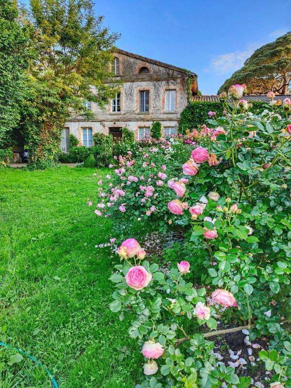 Maison à MURET