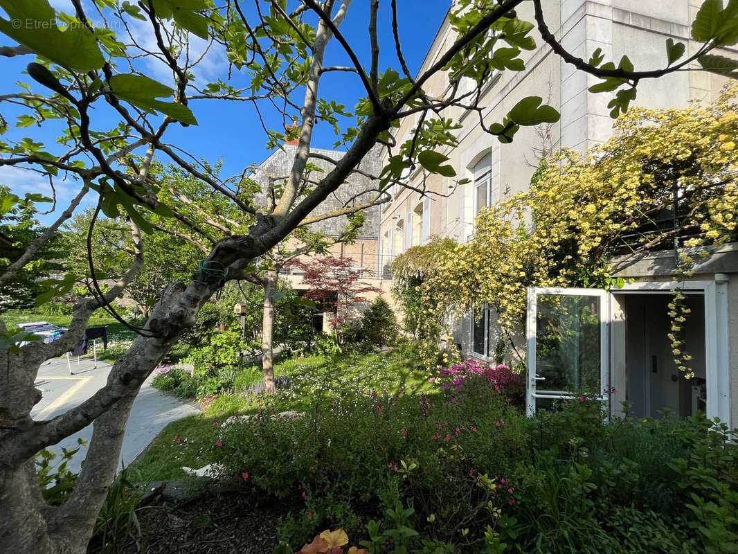 Maison à ANGERS