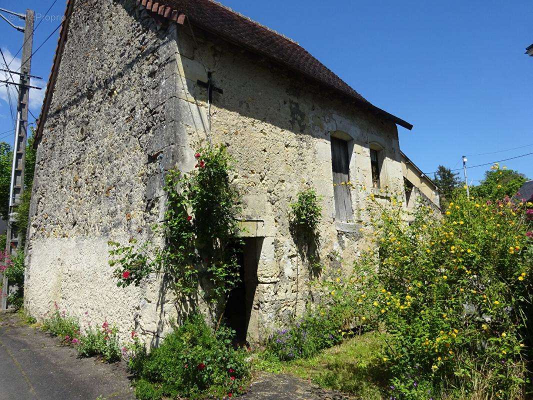 Maison à LE PETIT-PRESSIGNY