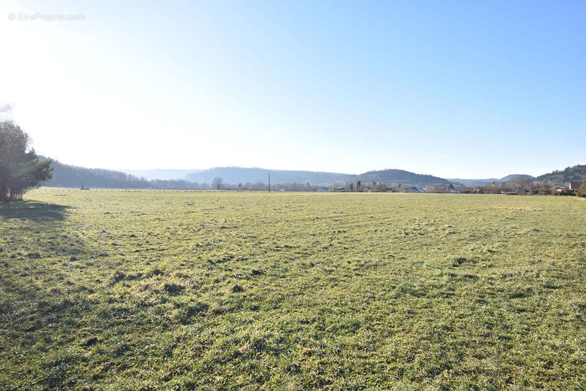 Terrain à SAINT-LEONARD