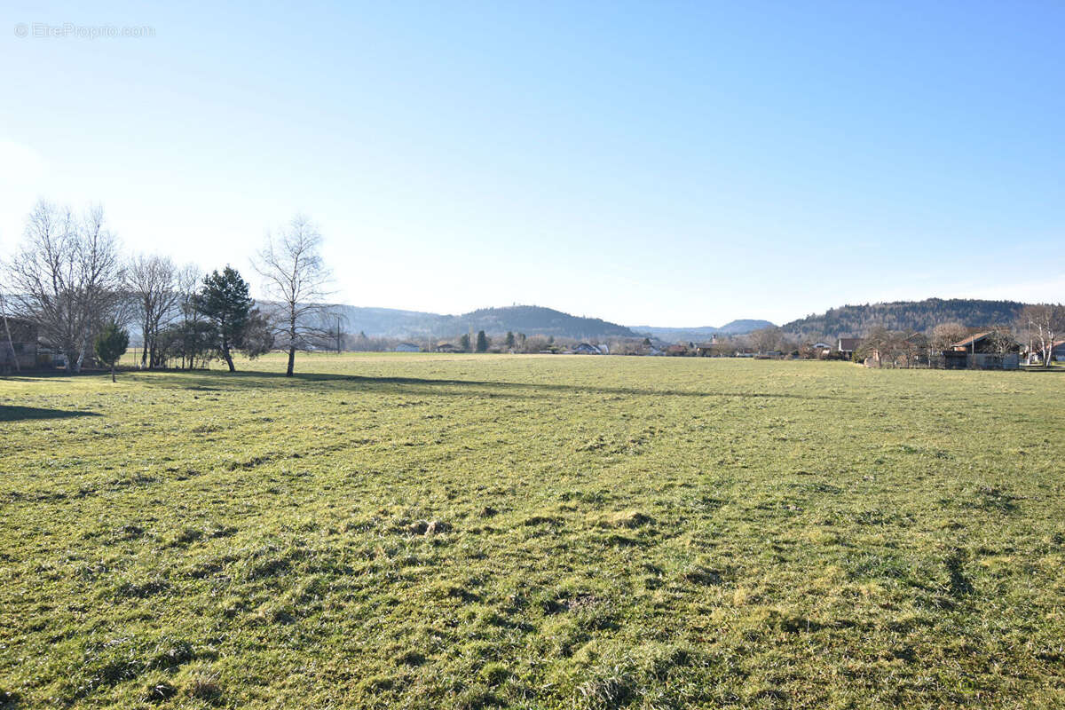 Terrain à SAINT-LEONARD