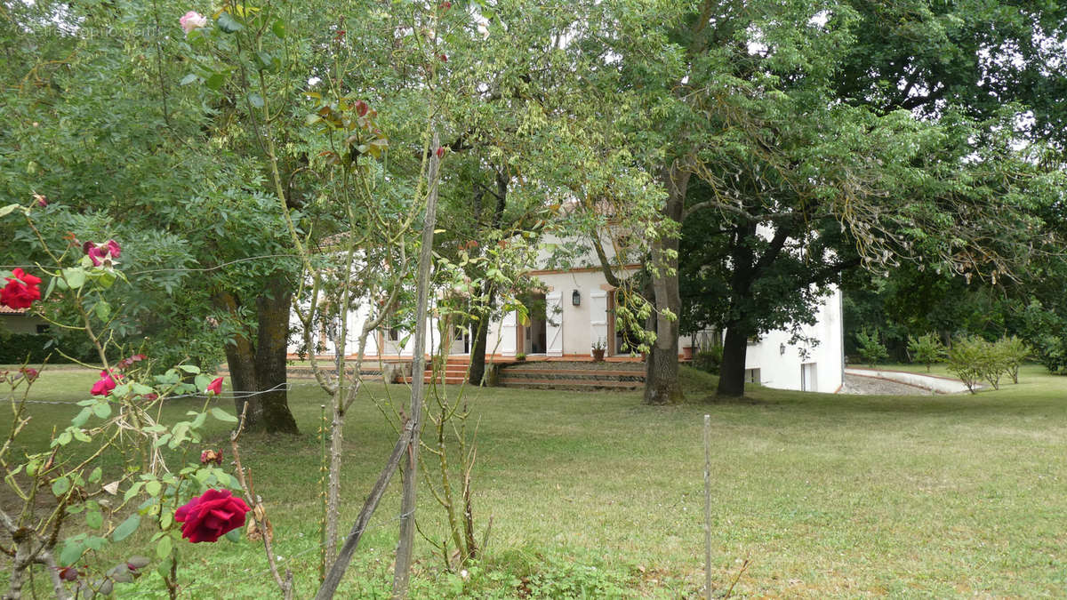 Maison à MURET