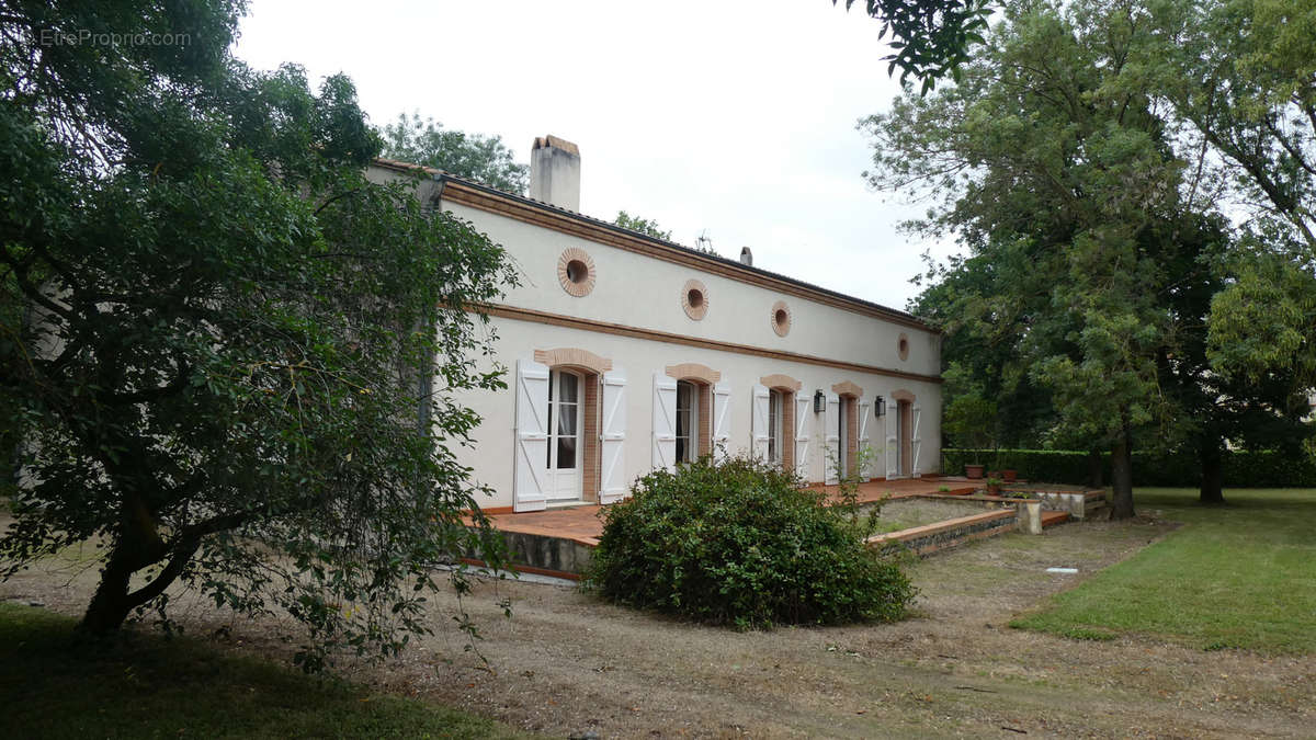 Maison à MURET