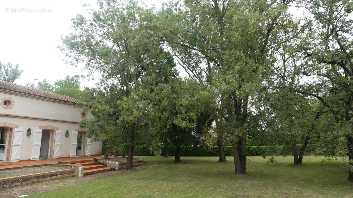 Maison à MURET