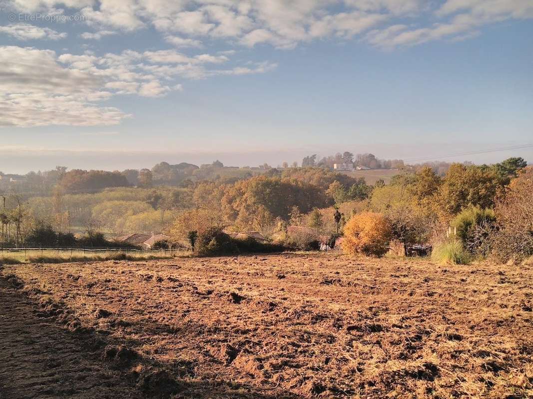 terrain à bâtir, vue dégagée, coteaux Baurech, proche bordeaux 33, libre constructeur, projet immobilier - Terrain à BAURECH