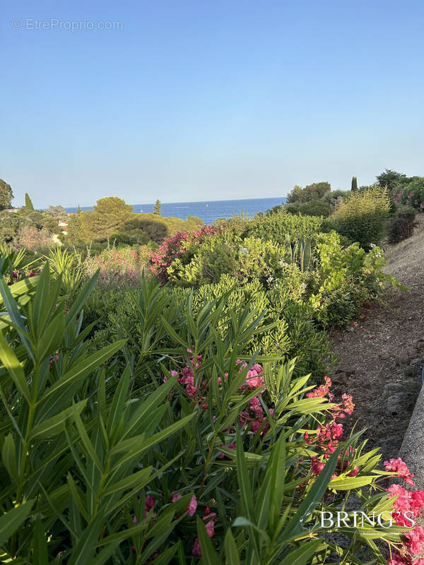 Vue mer  - Maison à SAINT-RAPHAEL