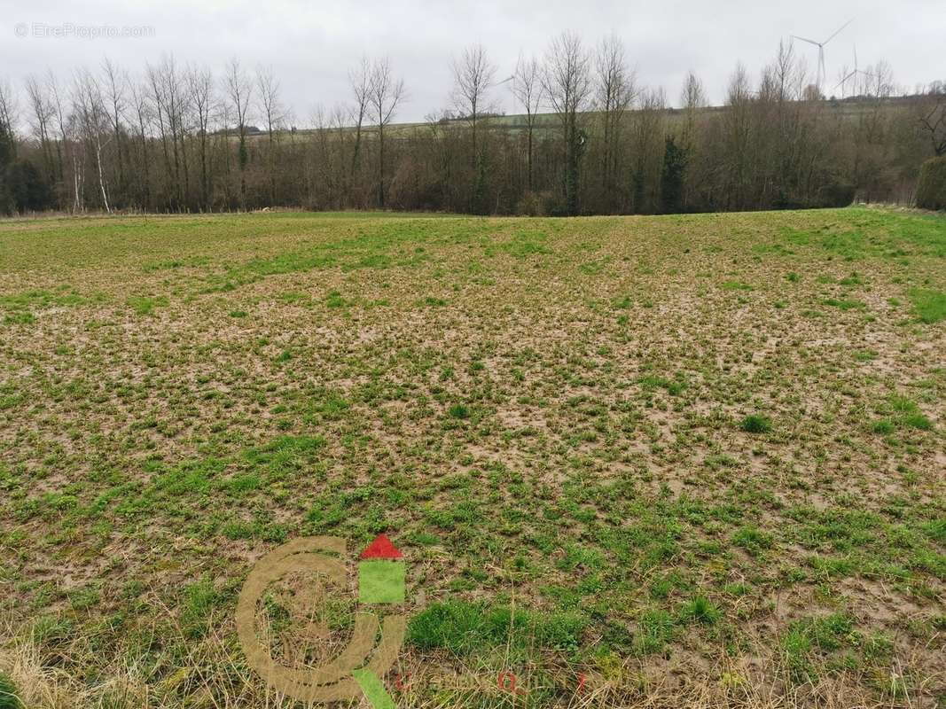 Terrain à LIGNY-SUR-CANCHE