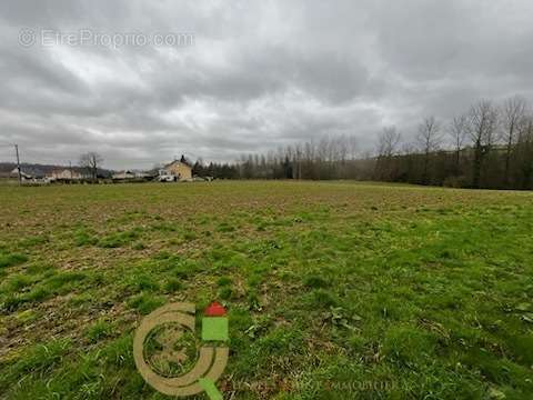 Terrain à LIGNY-SUR-CANCHE