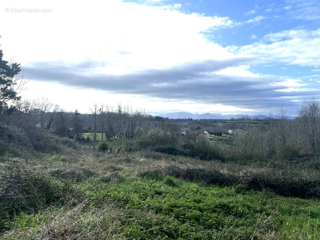 Terrain à SAINT-PIERRE-D&#039;IRUBE