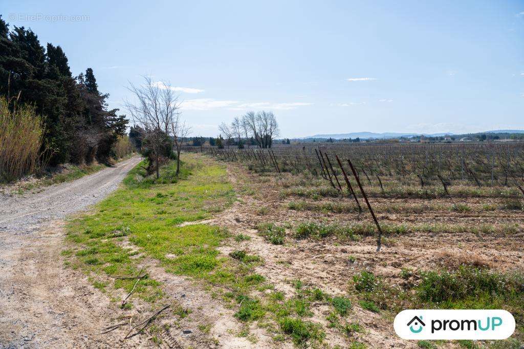 Terrain à PEYRIAC-DE-MER