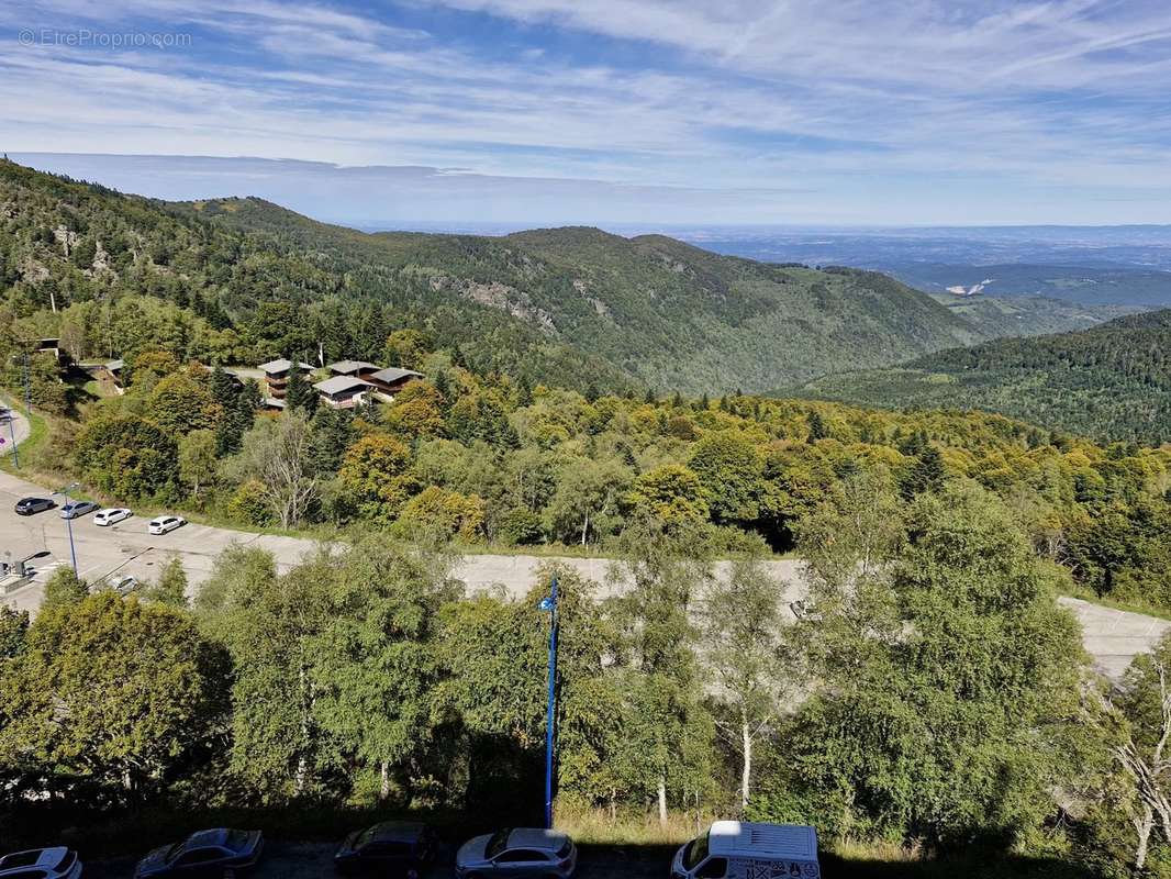 Appartement à MONTFERRIER