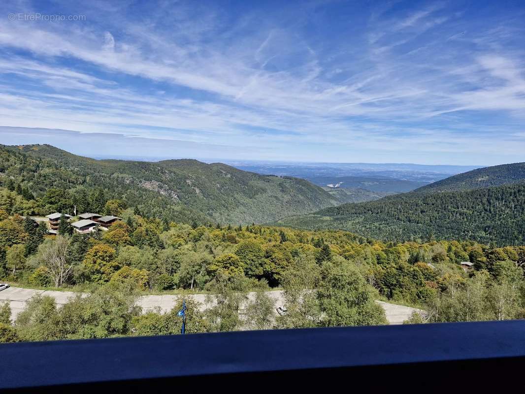 Appartement à MONTFERRIER