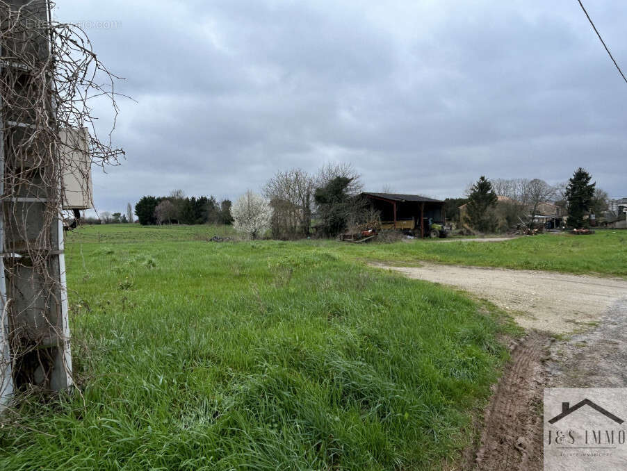 Terrain à LES PINS