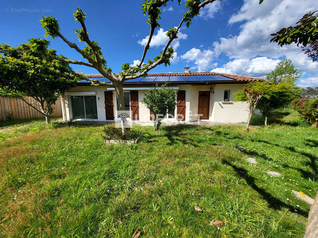 Maison à SAINTE-EULALIE-EN-BORN