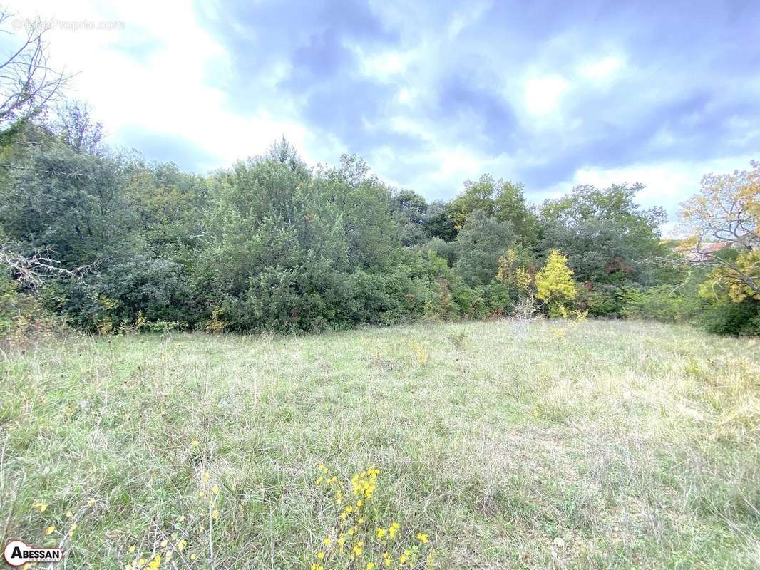 Terrain à SAINT-MARTIN-DE-VALGALGUES