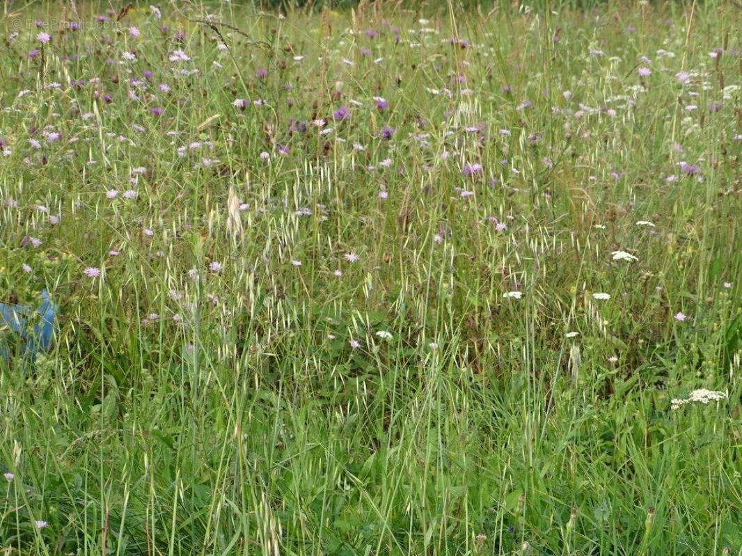 Terrain à BONREPOS-SUR-AUSSONNELLE