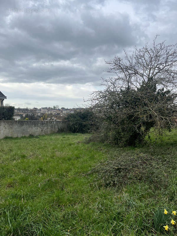 Terrain à SAINT-JEAN-DE-THOUARS